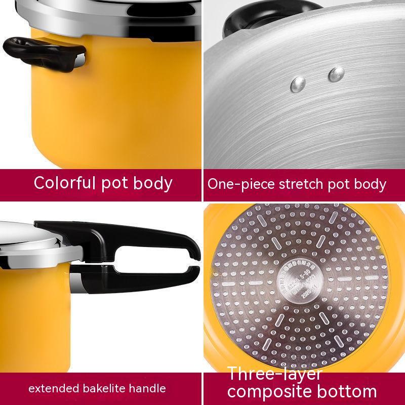 Explosion Proof Of Household Gas For High-pressure Cookers sun store